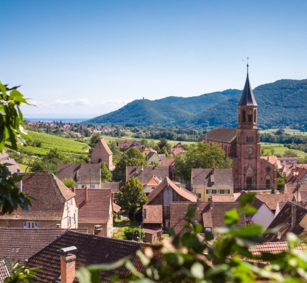 Centre France Pub s'engage avec Bouge ton Coq : 1 annonce légale = 1 € pour les territoires ruraux